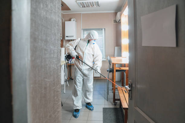 Trusted Mount Olive, AL Mold Removal Experts